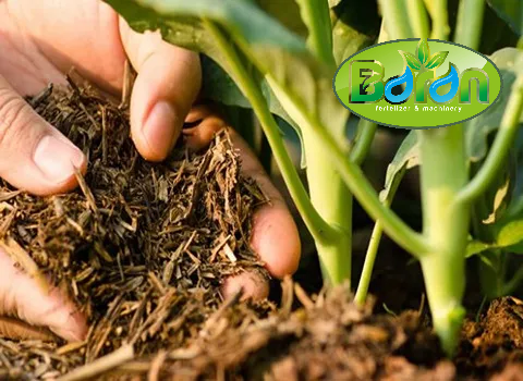 قیمت کود مرغی پوسیده باکیفیت