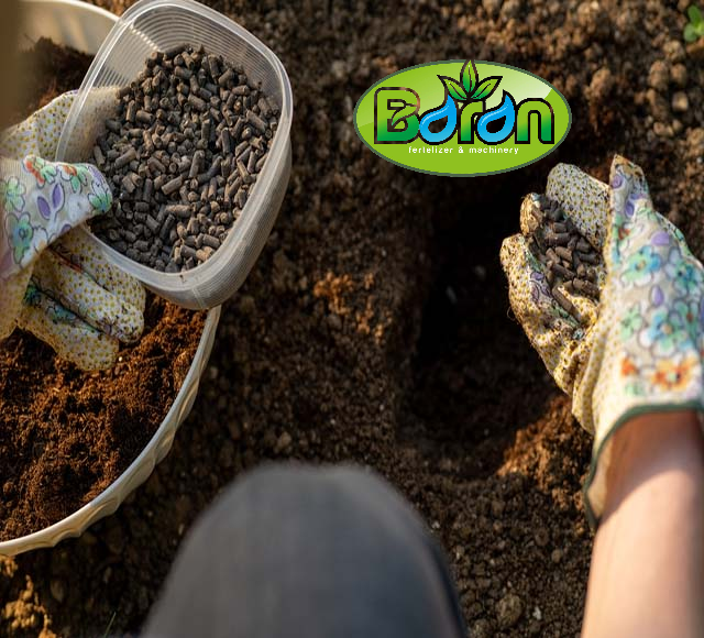 خواص کود مرغی پوسیده