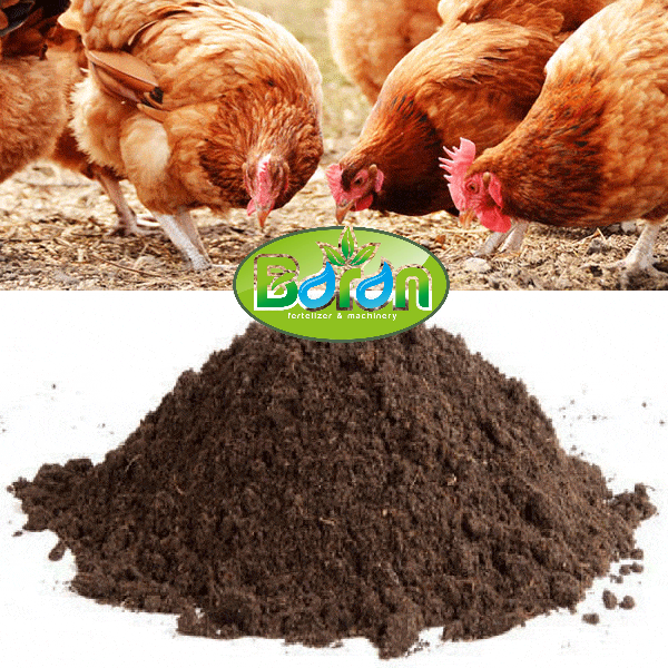 خرید کود پلیت مرغی در شیراز