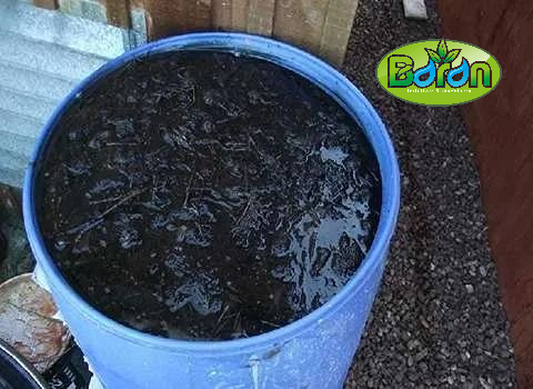 فروش کود مرغی سطلی