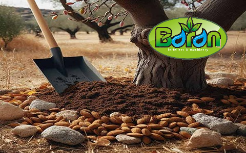 راهنمای انتخاب کود مرغی مناسب