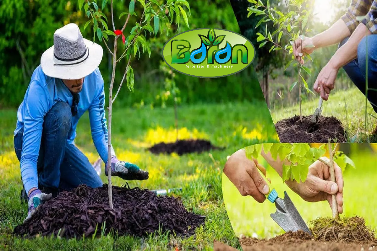 مزایای خرید کود ۱۰-۵۲-۱۰ خارجی