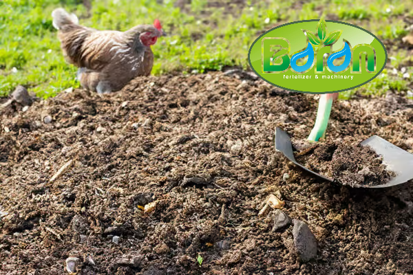 راهنمای انتخاب کود مرغی فشنگی باکیفیت