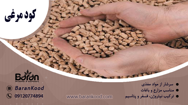 کود مرغی برای خربزه