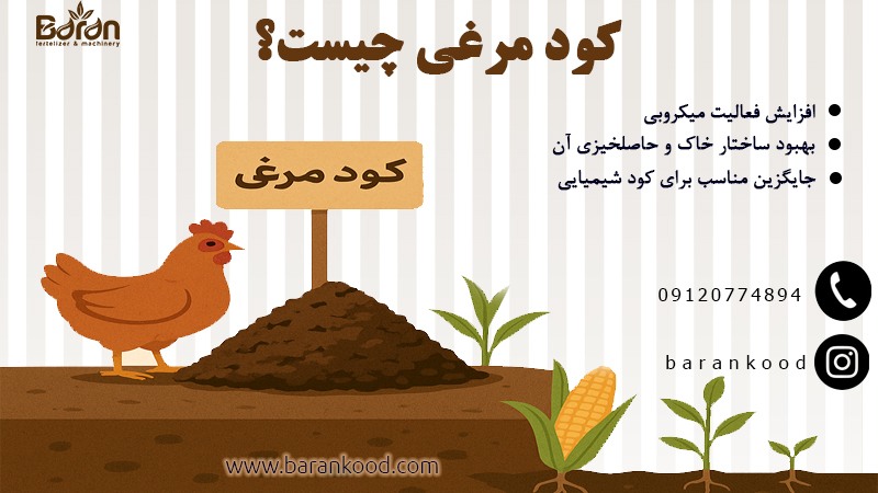 کود مرغی چیست؟