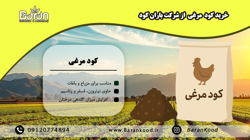 کود مرغی برای درخت توت