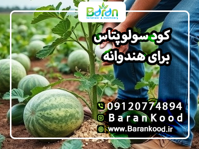 کود سولوپتاس برای هندوانه + مزایا و قیمت