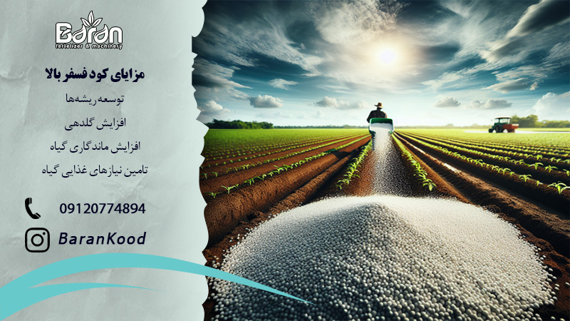 کود فسفر بالا + قیمت