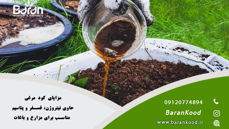 خرید کود مرغی برای درخت بادام با قیمت مناسب