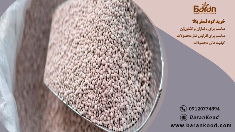 قیمت خرید کود فسفر بالا