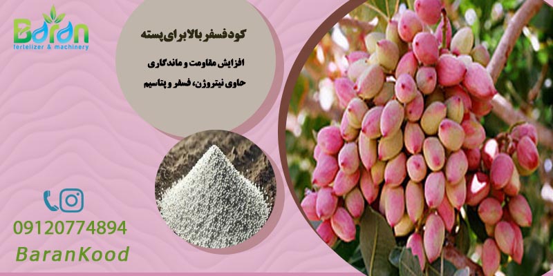 کود فسفر بالا برای پسته + خرید