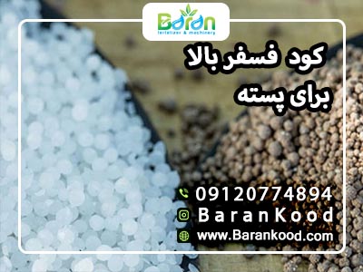 کود فسفر بالا برای پسته