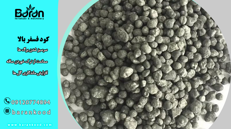 کود فسفر بالا + قیمت