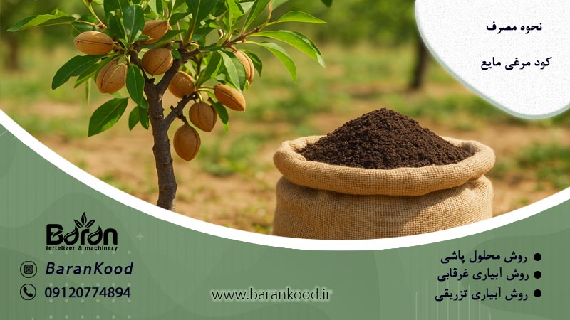 کود مرغی برای درخت بادام