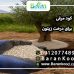 کود مرغی برای درخت زیتون 3