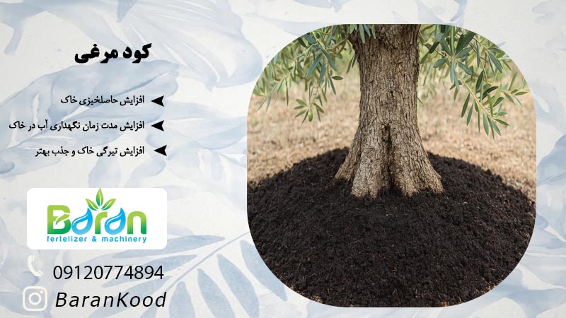 کود مرغی خرید