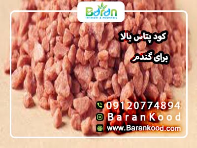 کود پتاس بالا برای گندم