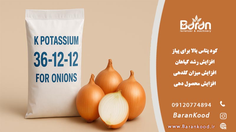 کود پتاس بالا برای پیاز
