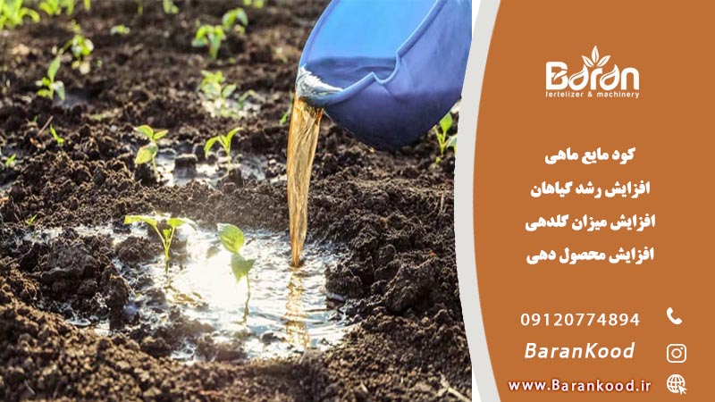 فروش کود مایع ماهی