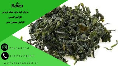 مزایای کود مایع جلبک دریایی