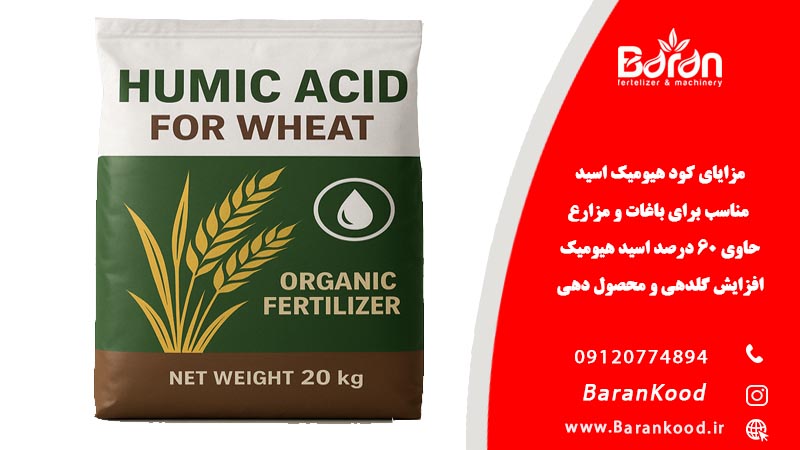 مزایای کود هیومیک اسید برای گندم