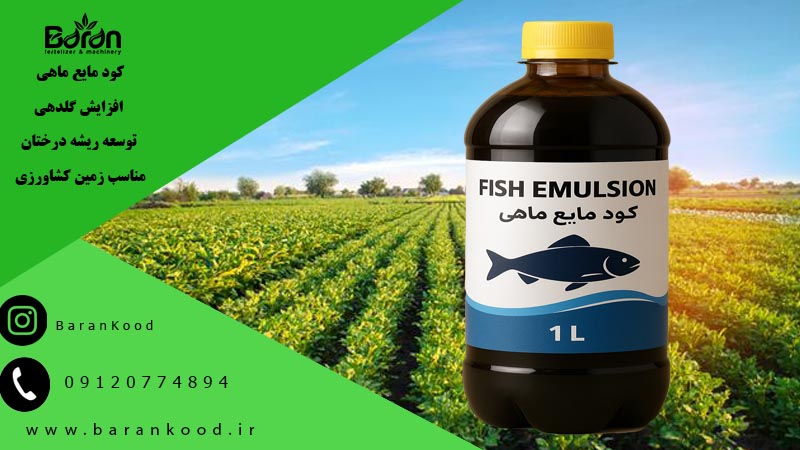 کود مایع ماهی