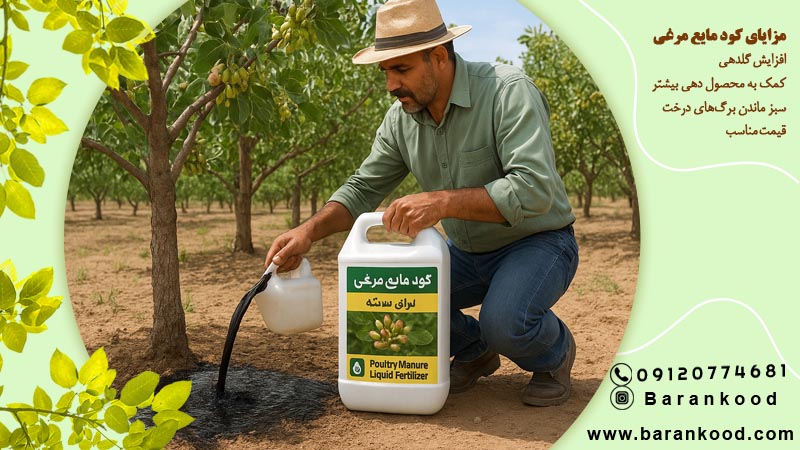 کود مایع مرغی خرید