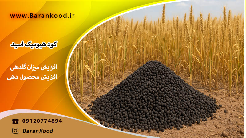 کود هیومیک اسید