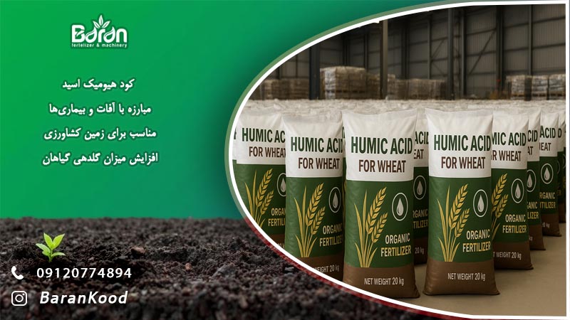 کود هیومیک اسید برای گندم