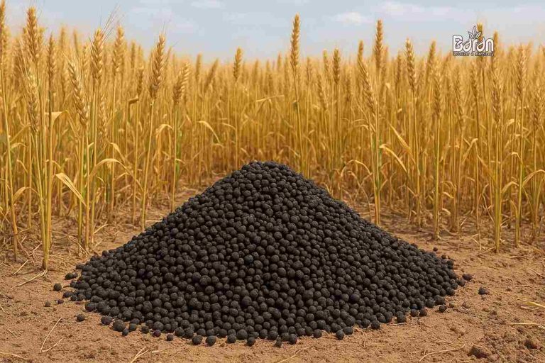 کود هیومیک اسید + خرید (1)