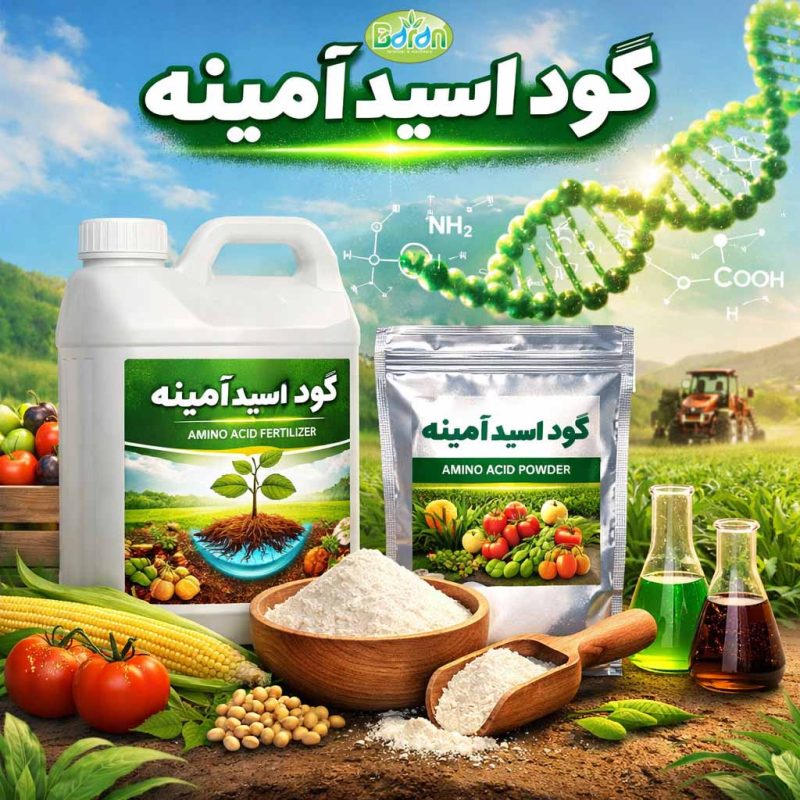 کود اسید آمینه