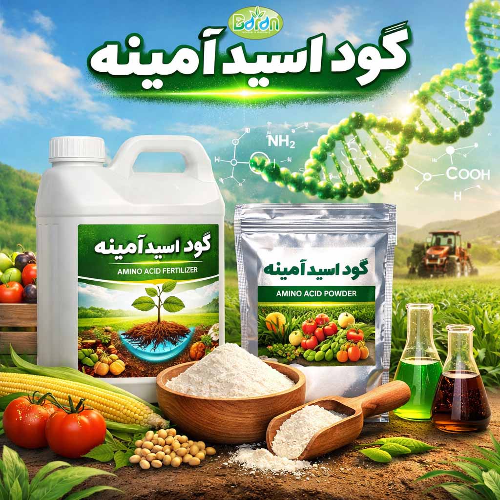 کود اسید آمینه کود اسید آمینه