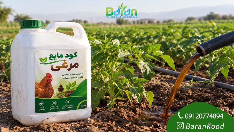 فروش کود مرغی به قیمت عمده