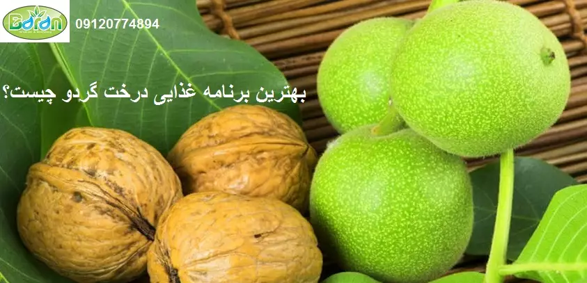 هیومیک اسید برای گردو